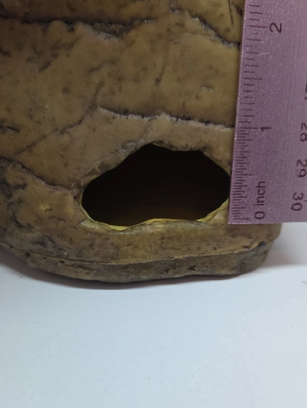 NWT Gecko Cave - Medium Brown Reptile Hide